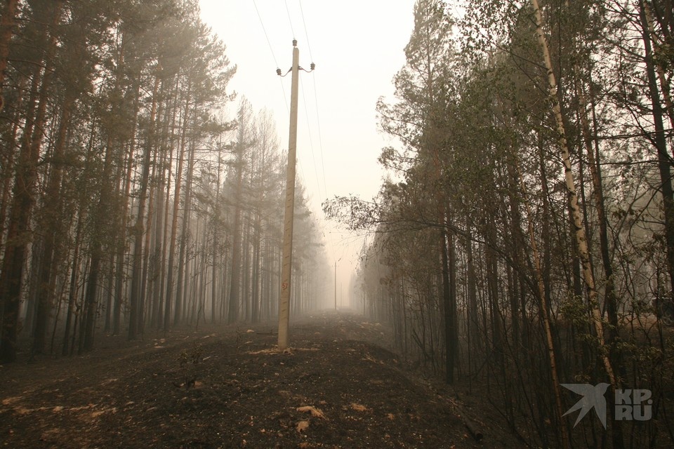     В 11 районах Рязанской области 19 июля отключат электричество. Анатолий ЖДАНОВ