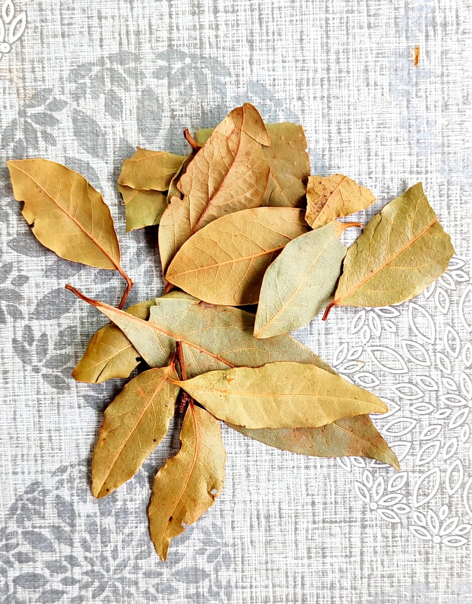 Сушёная лаврушка