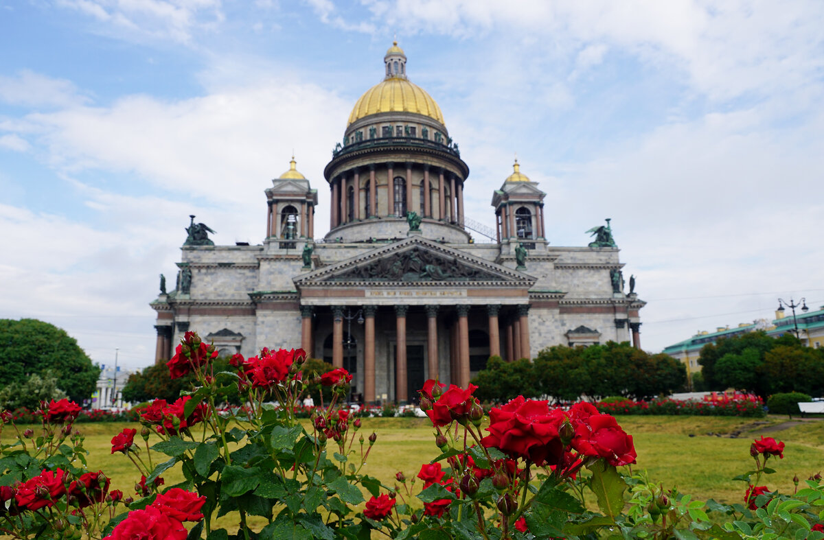 Исаакиевский собор розы