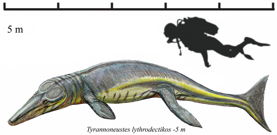 Метриоринхиды (Metriorhynchidae) – морские крокодилы с рыбьими хвостами