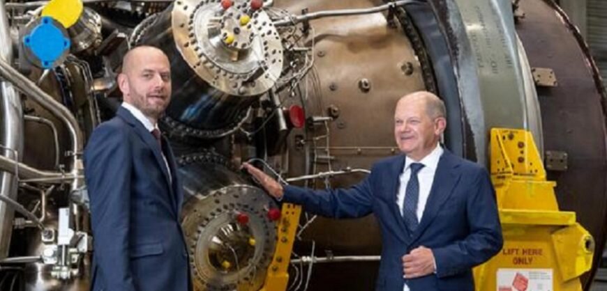 Фото из Яндекс.Картинки