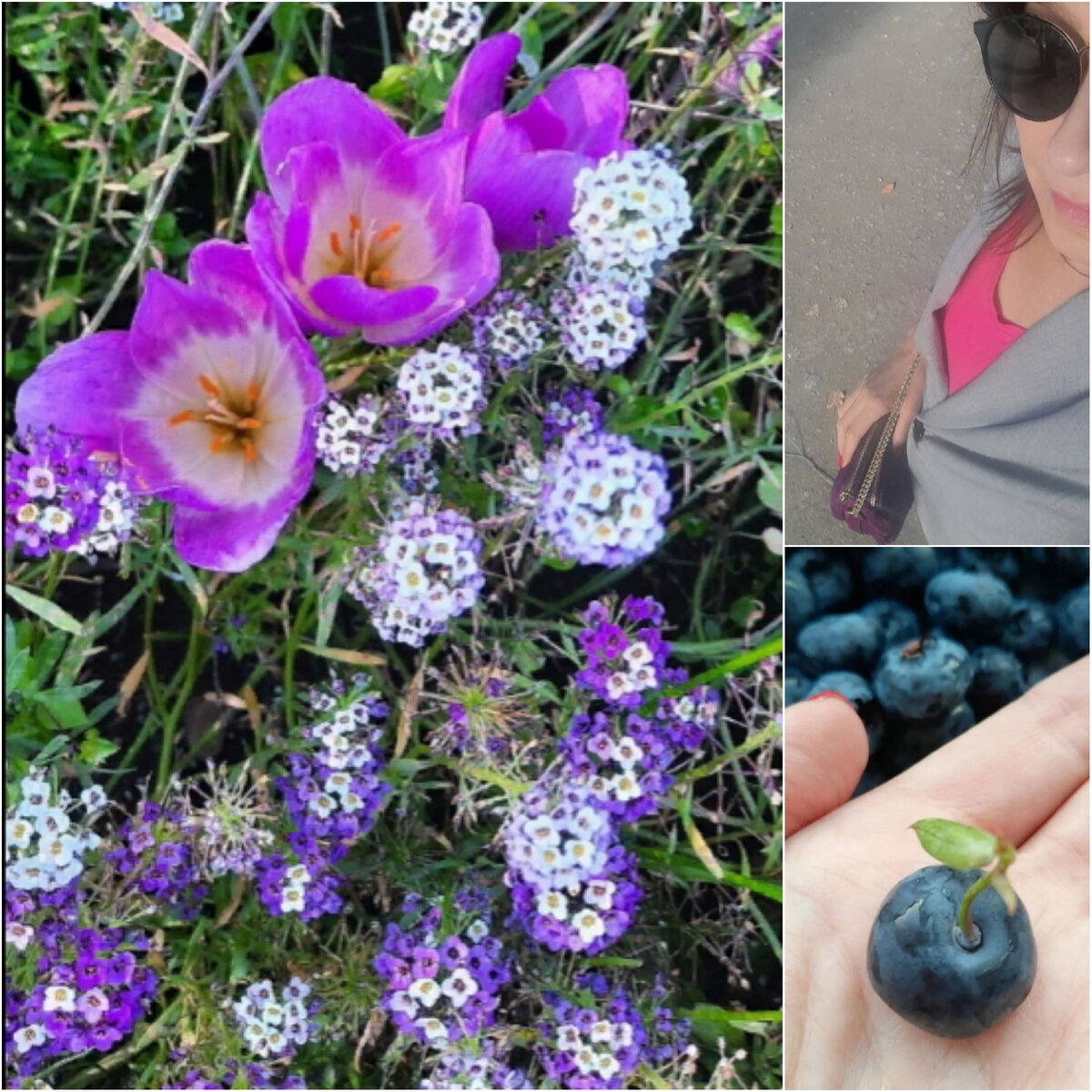 Цветы, ягоды, топ и клатч. Фото подписчика.