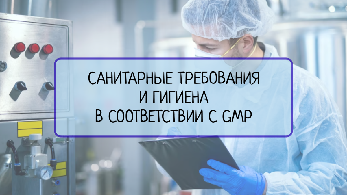 Санитарные требования и гигиена в соответствии с GMP: важность для  безопасной и качественной продукции | Все о системах менеджмента | Дзен