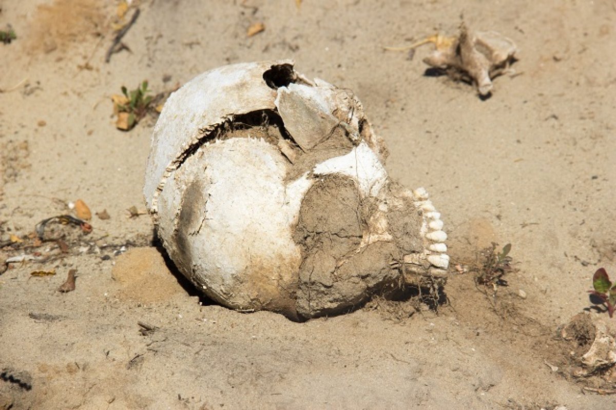    Первый в РФ приговор за неуважение к памяти предков вынесли в Ленобласти