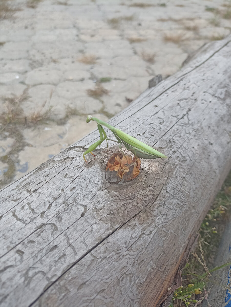 На одной из остановок