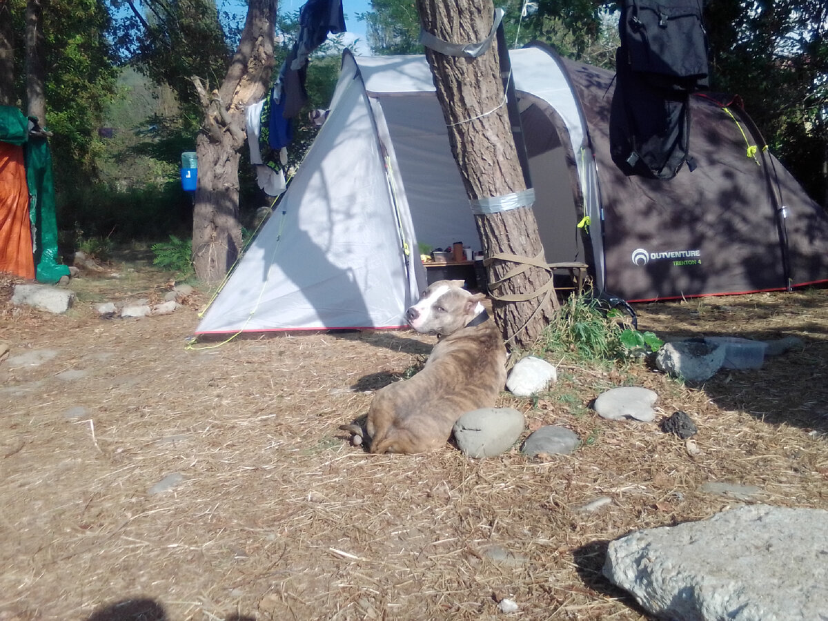 Наши соседи, на тот момент