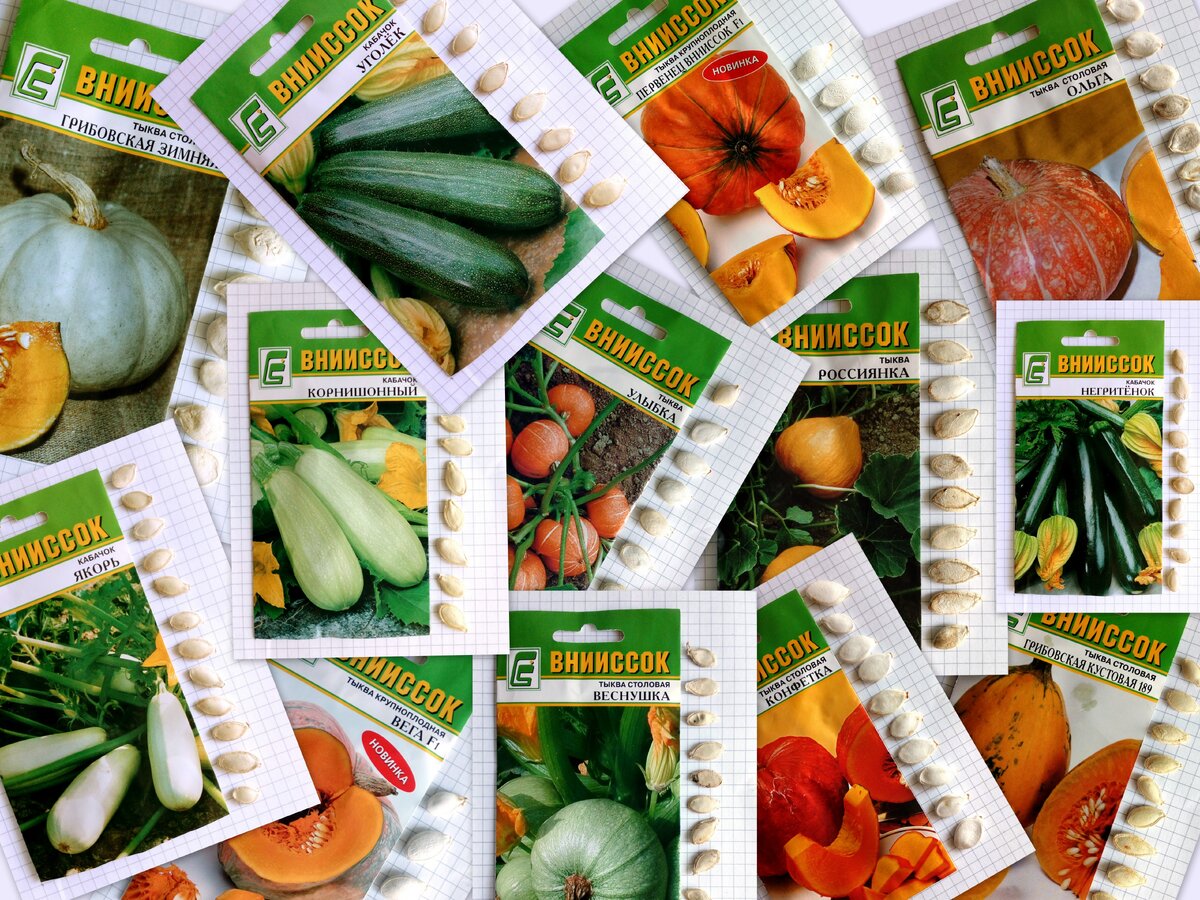 Весна 2018 - семена от ВНИИССОК