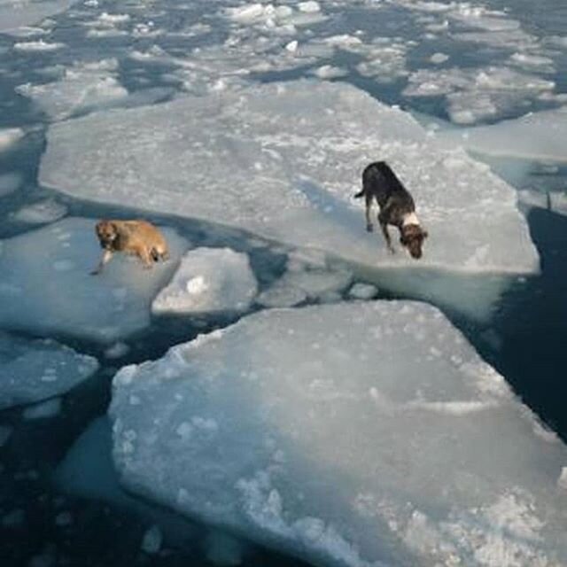 Фото: @kazachkova_17