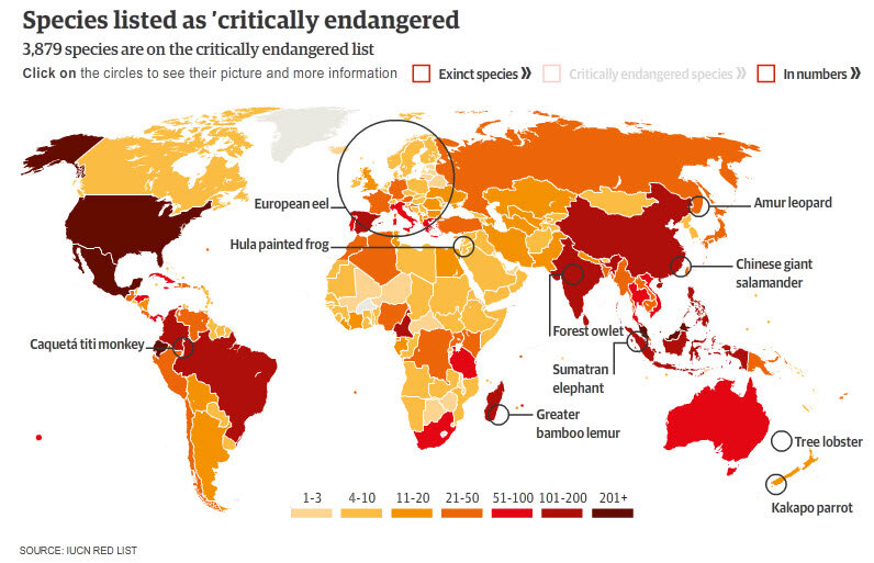 изображение с сайта theguardian.com