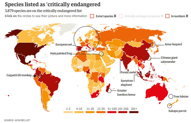 Карта вымирания животных