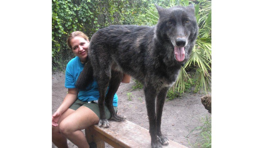 Юки в 2012 году. Источник: https://imgur.com/LnfXa