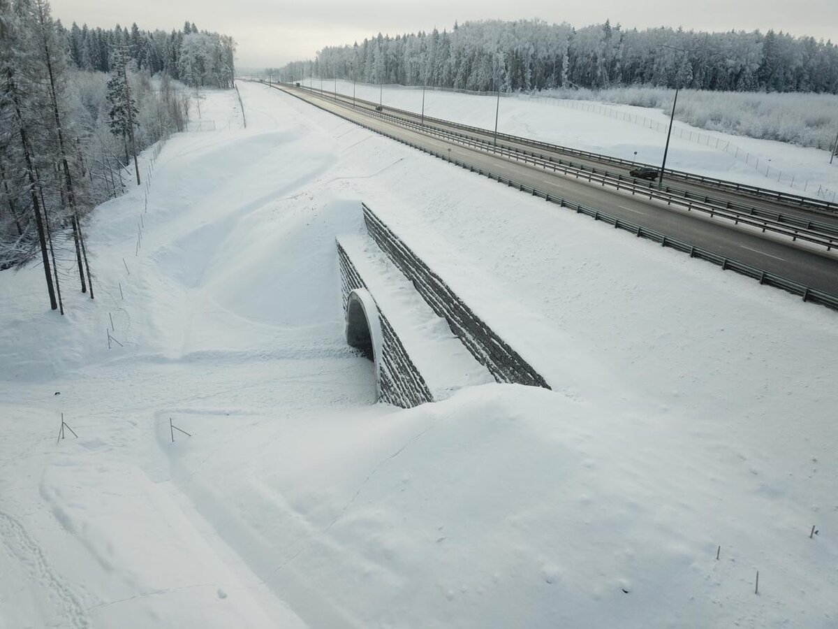 Фото: russianhighways.ru