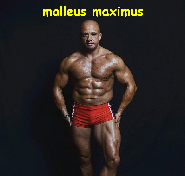 Михаил Шилов  (malleus maximus)