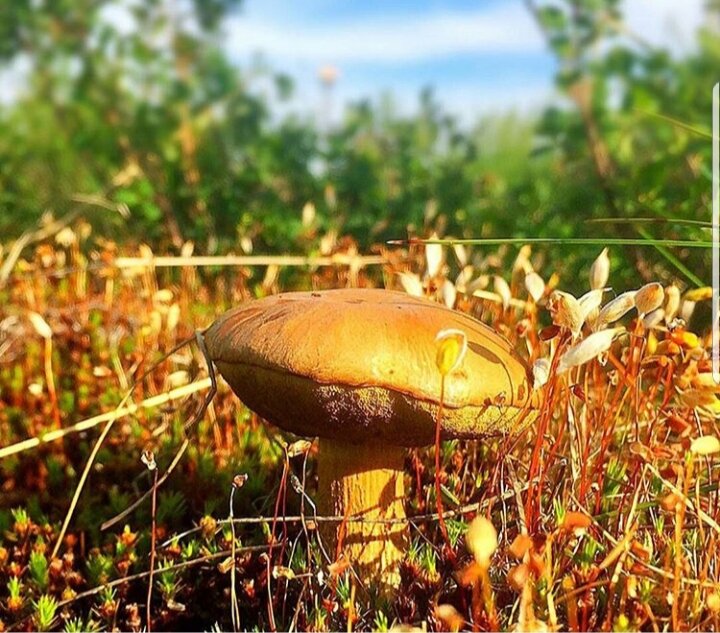 Моя первая находка