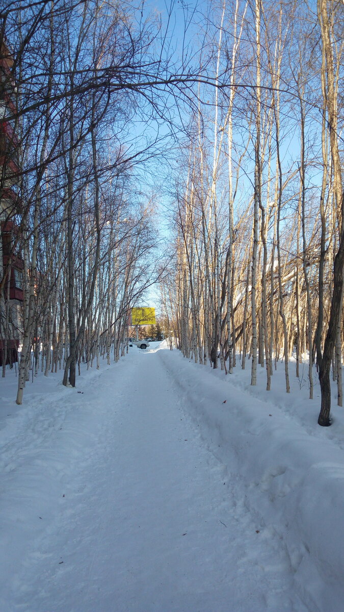 Улица Тихонова