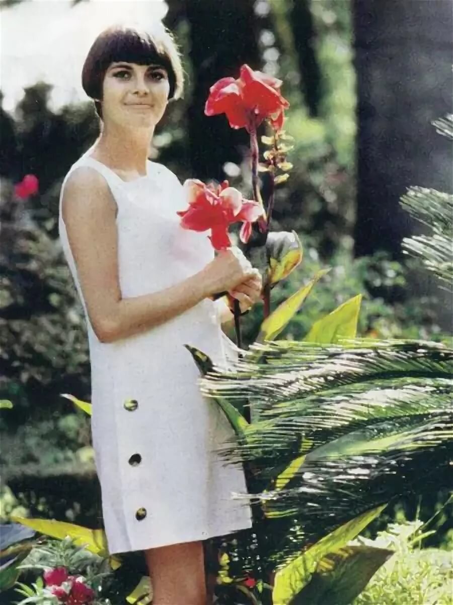 Картинка из открытых источников