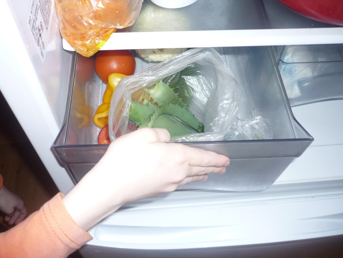 Фотография взята из открытых источников