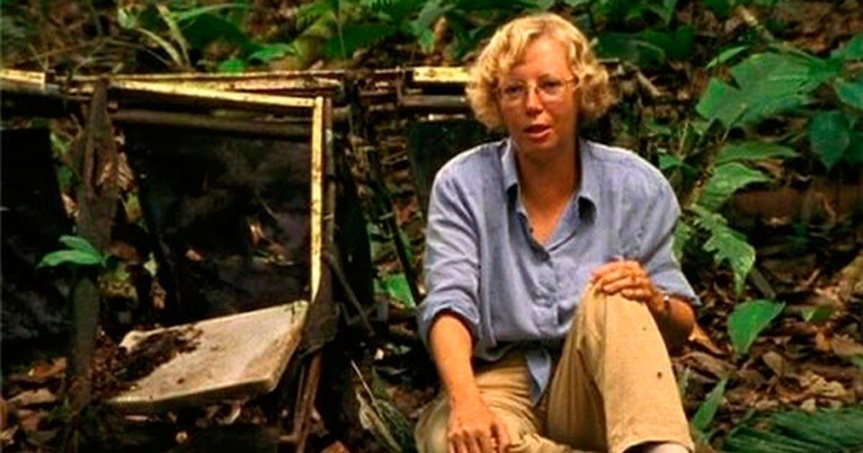 Яндекс. Картинки. Джулиан Кёпке. Единственная, выжившая в авиакатастрофе.