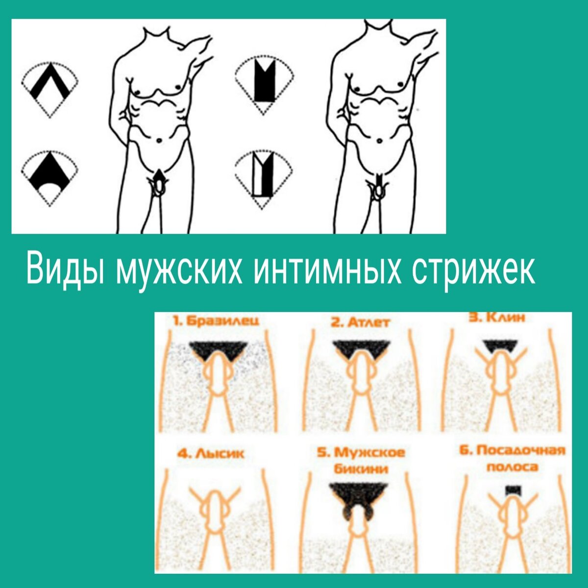 Парикмахерская ниже пупка или как удивить вторую половину | НеВаша Даша |  Дзен