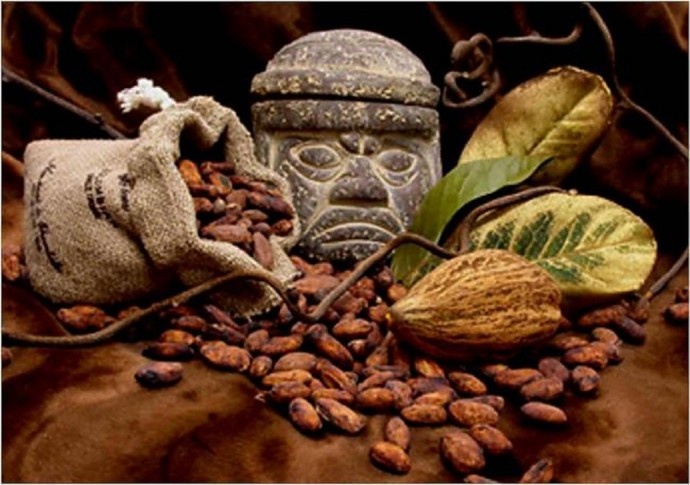                                          Фотография взята из свободного источника