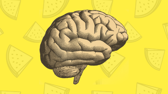 Brain 9. 9 Мозг. Запудривание мозгов 9. Запудривание собственных мозгов 9 букв. Шесть привычек, из-за которых наш мозг стареет быстрее.