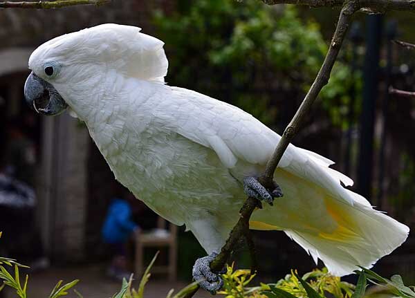 Источник фото: ekor9.com