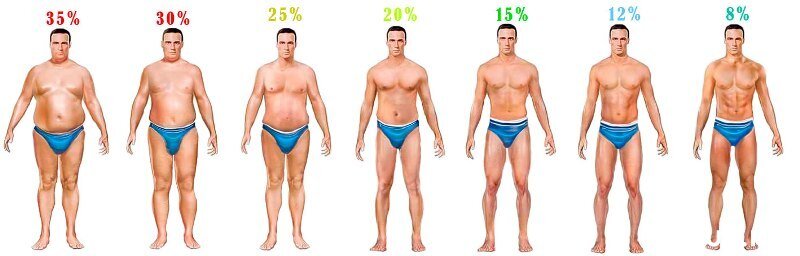 Жировой процент