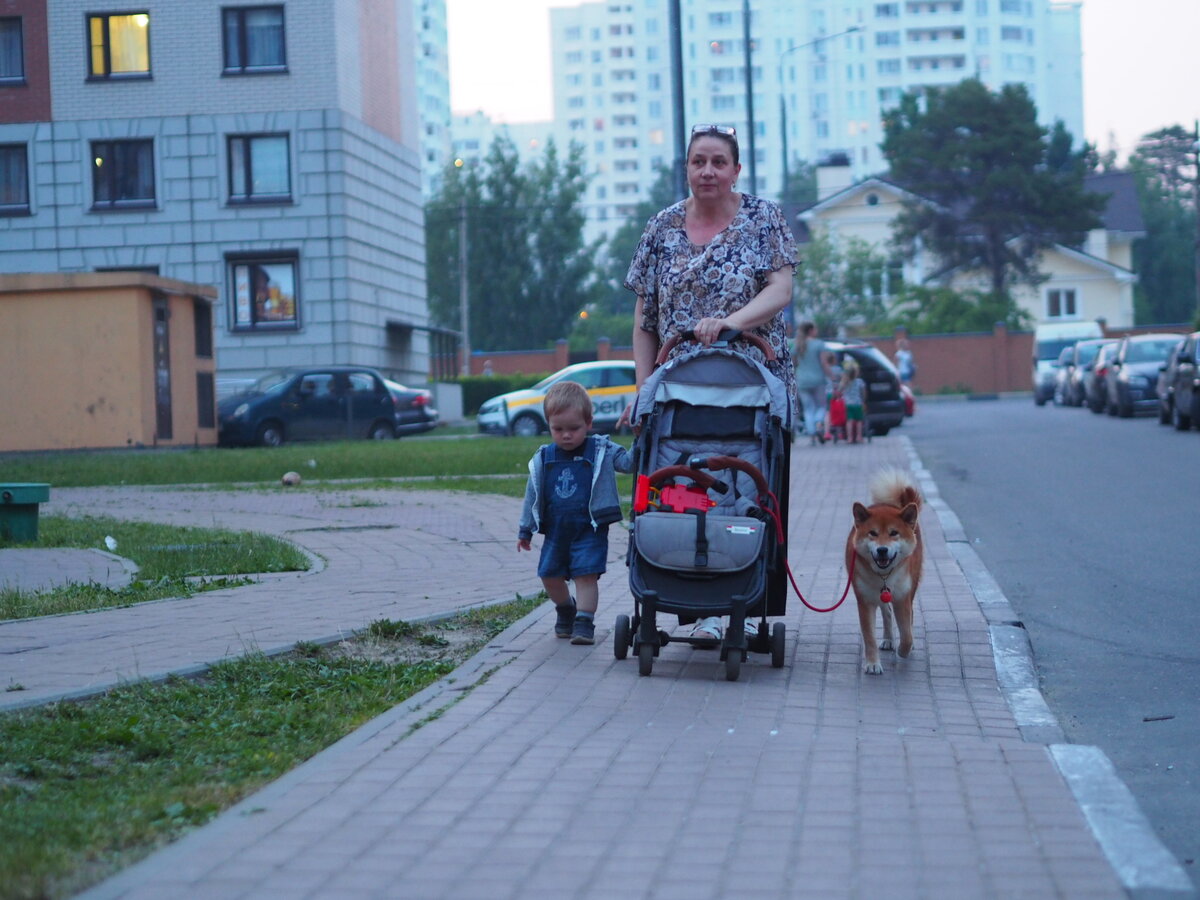 Моя любимая Тёща, сын и собака) 