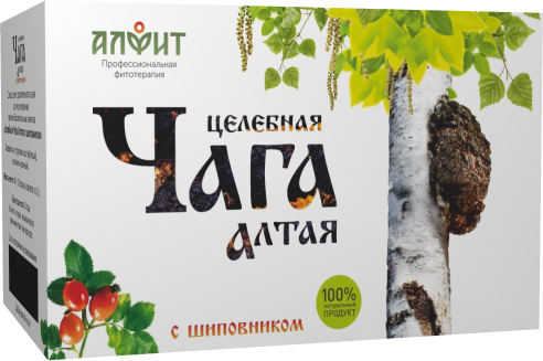 Целебная чага Алтая
