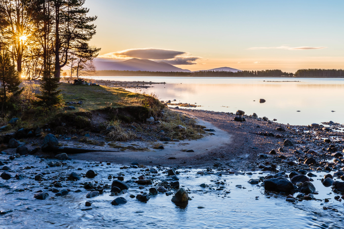 на белом море светло