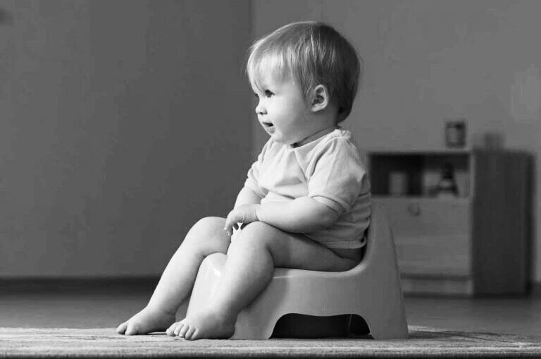 Типы личности, по Фрейду | True Psychology | Дзен