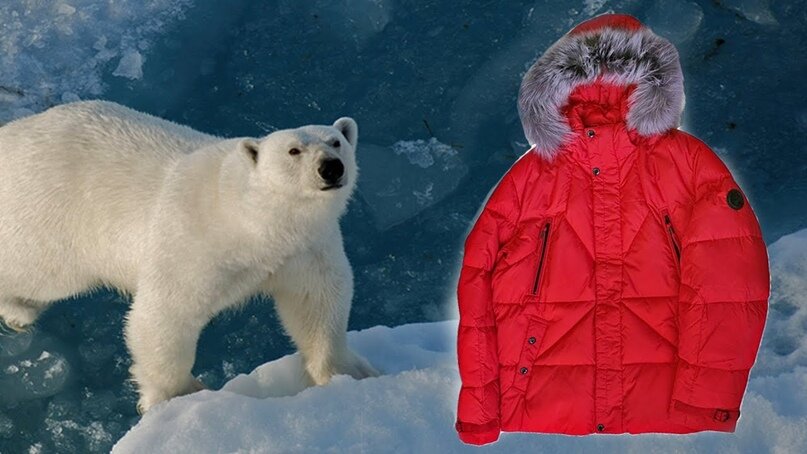 товароведческая экспертиза в Севастополе https://ckexpert.ru/tovarovedcheskie-ekspertizyi-potrebitelskie/