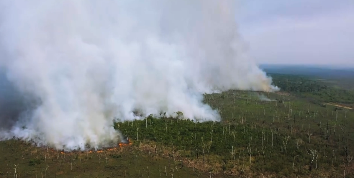 Кадры из фильма "Амазонка в огне"