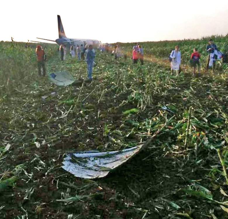 Пассажиры самолета в поле