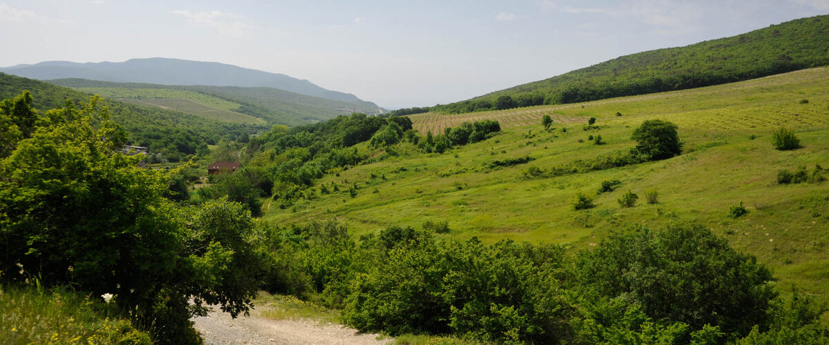 Гостагаевская анапский краснодарский край. Станица Гостагаевская Краснодарский край. Гостагаевская Анапа. Станица Гостагаевская Анапский район. Гостагаевская Краснодарский край лес.