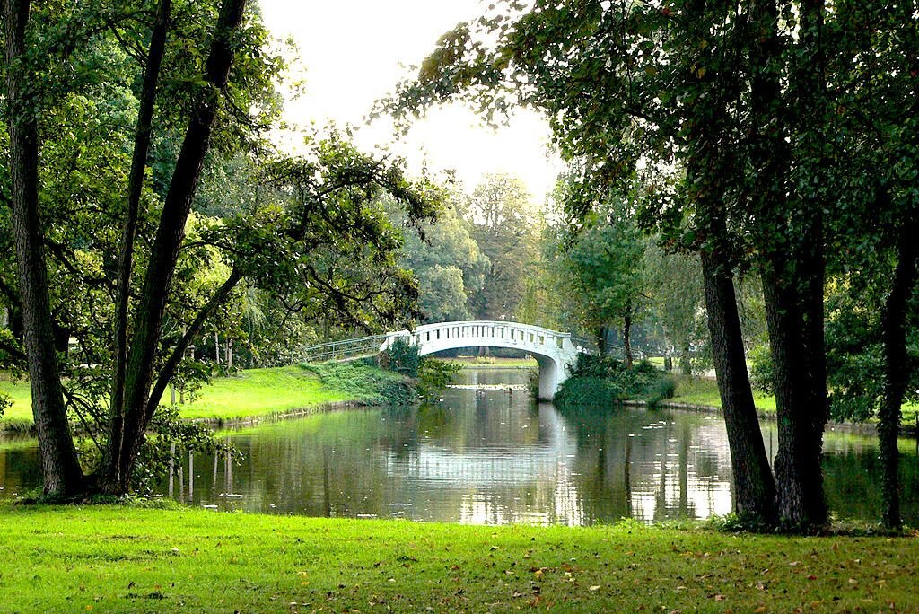 Верхне городской парк фото