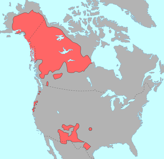 Расселение канады. Эскимосы ареал обитания. Эскимосы Северной Америки на карте. Эскимосы ареал. Эскимосско-Алеутская языковая семья карта.