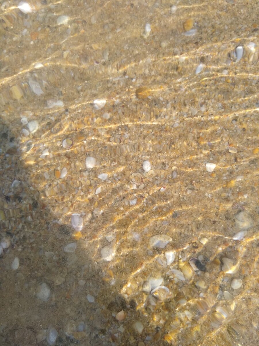 Фото из моего семейного архива.