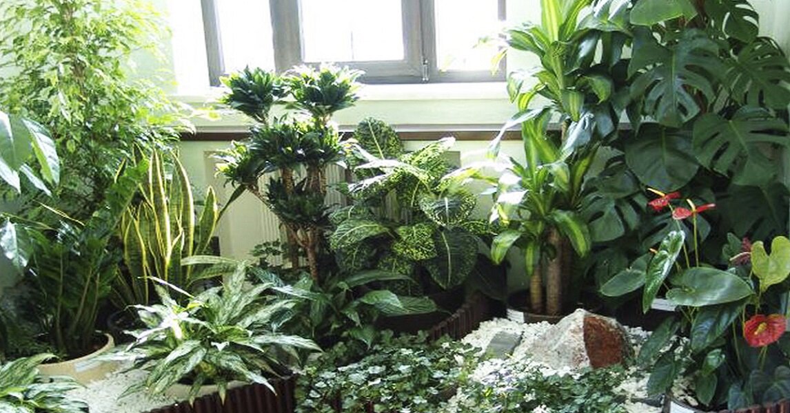 Источник: Google.Картинки