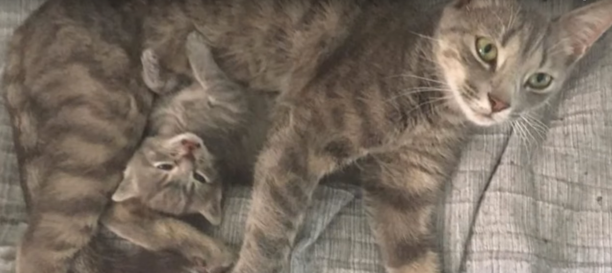 фото взято из открытого источника 