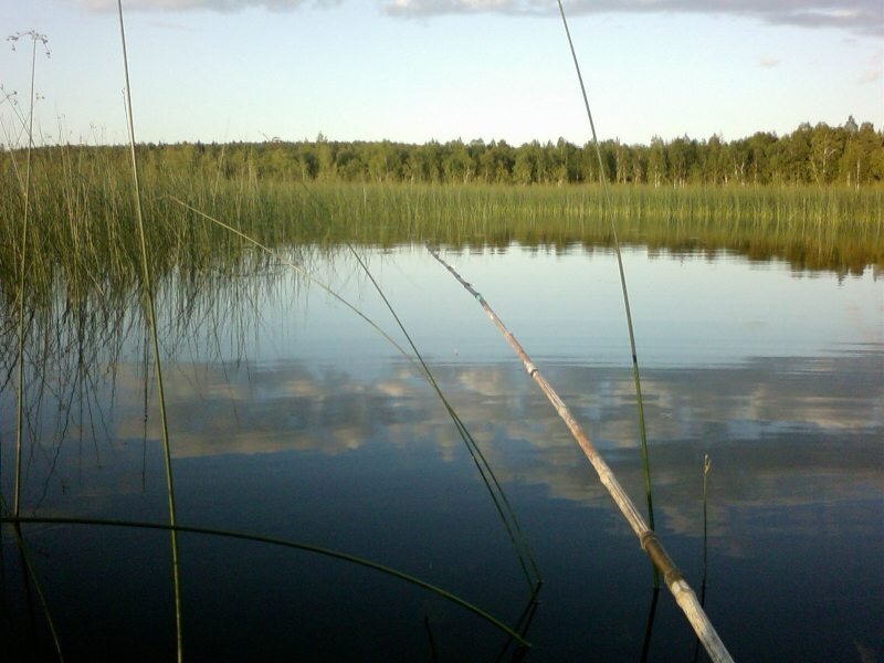 Бамбуковая удочка / фото яндекс-картинки
