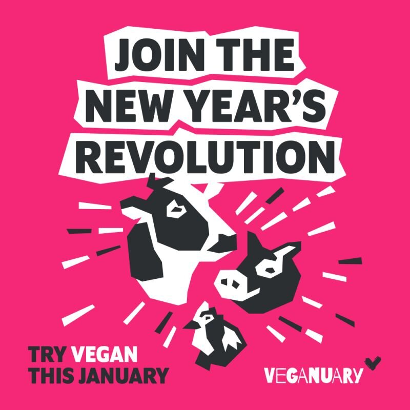 С сайта Veganuary