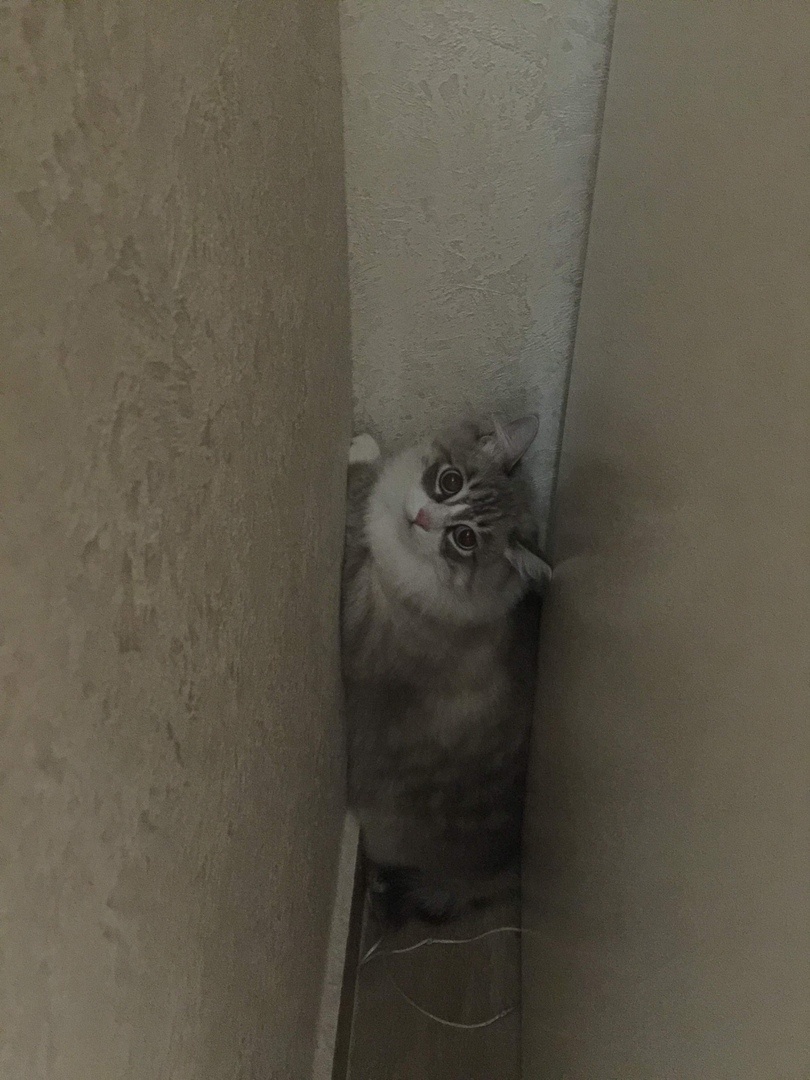 Страшно и больно. Как вы сможете мне помочь?!