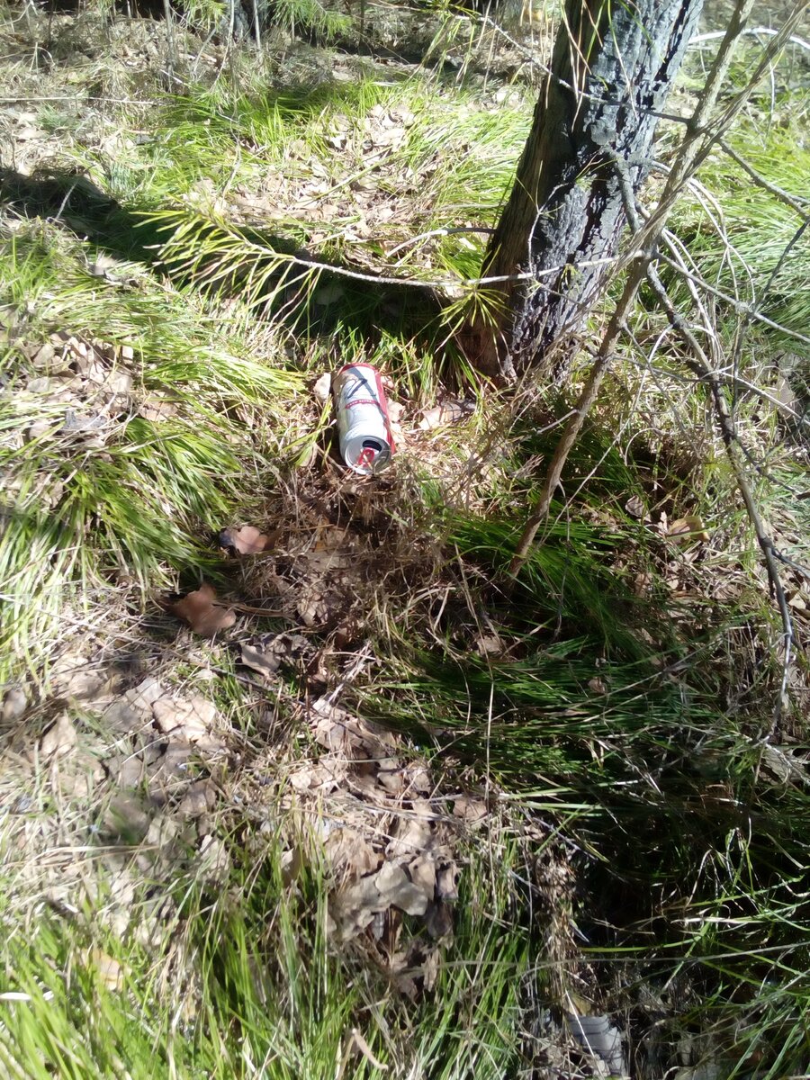 Личное фото.