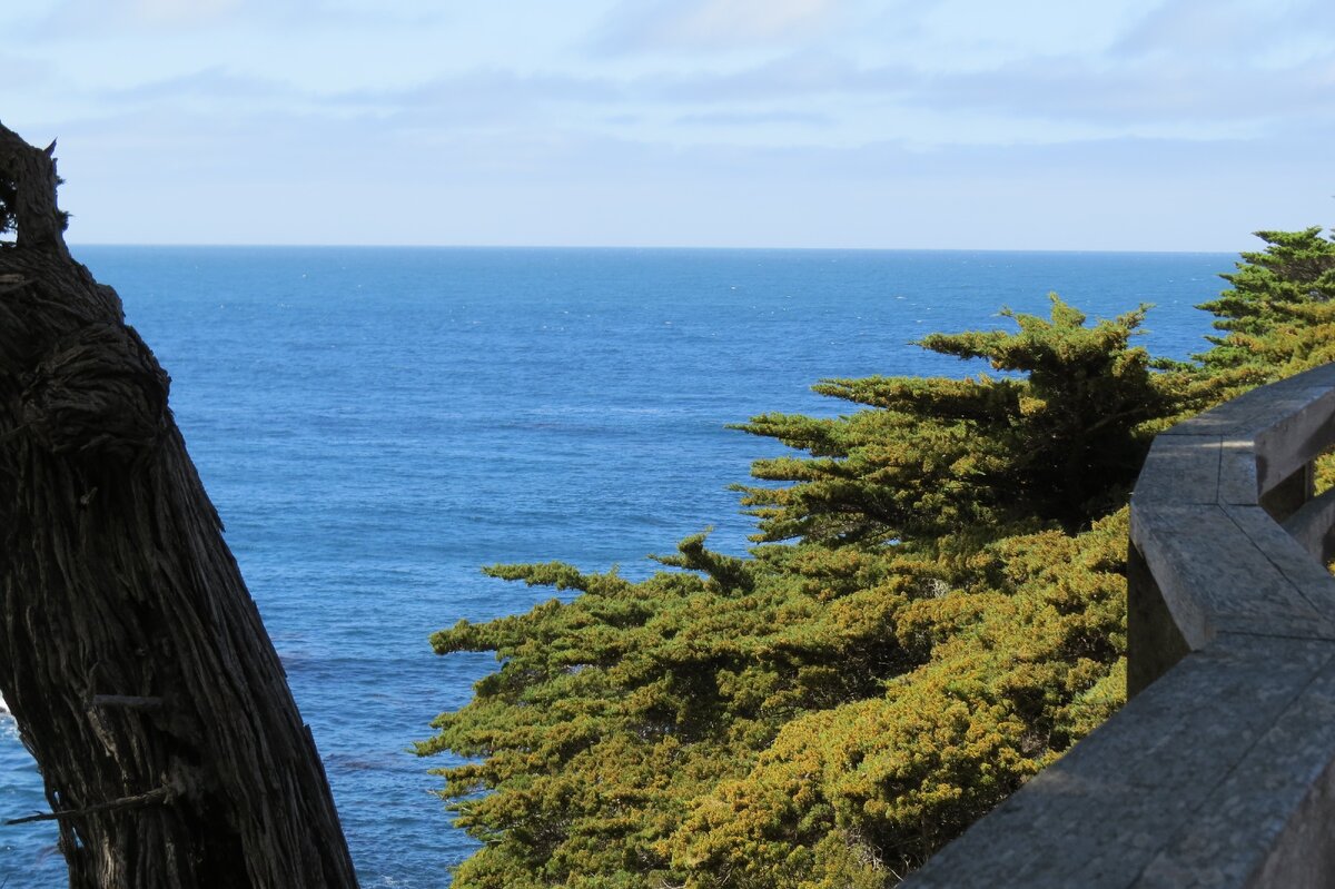 Монтерей. 2016 год. Фото автора.  