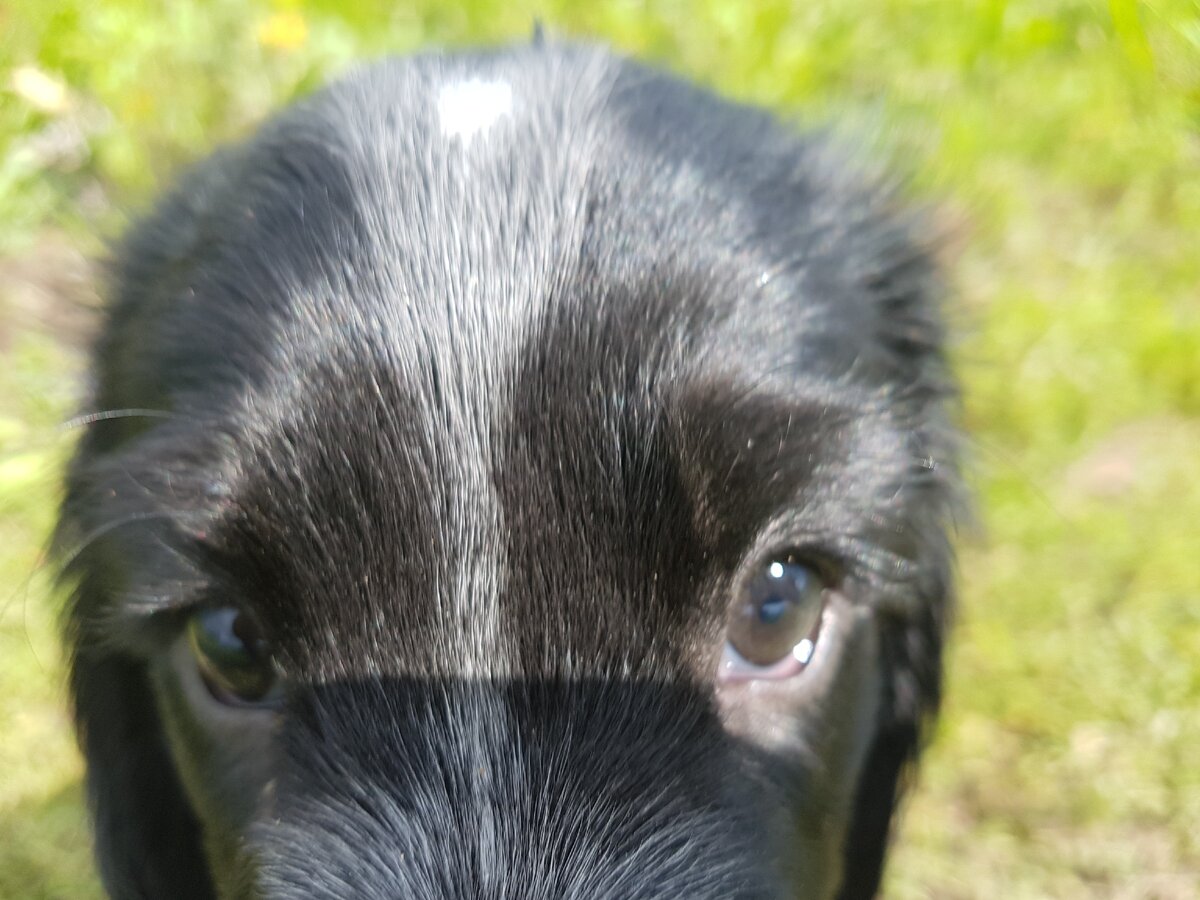 Не хочу я один дома сидеть