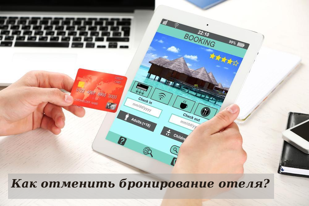 Изображение взято из интернета