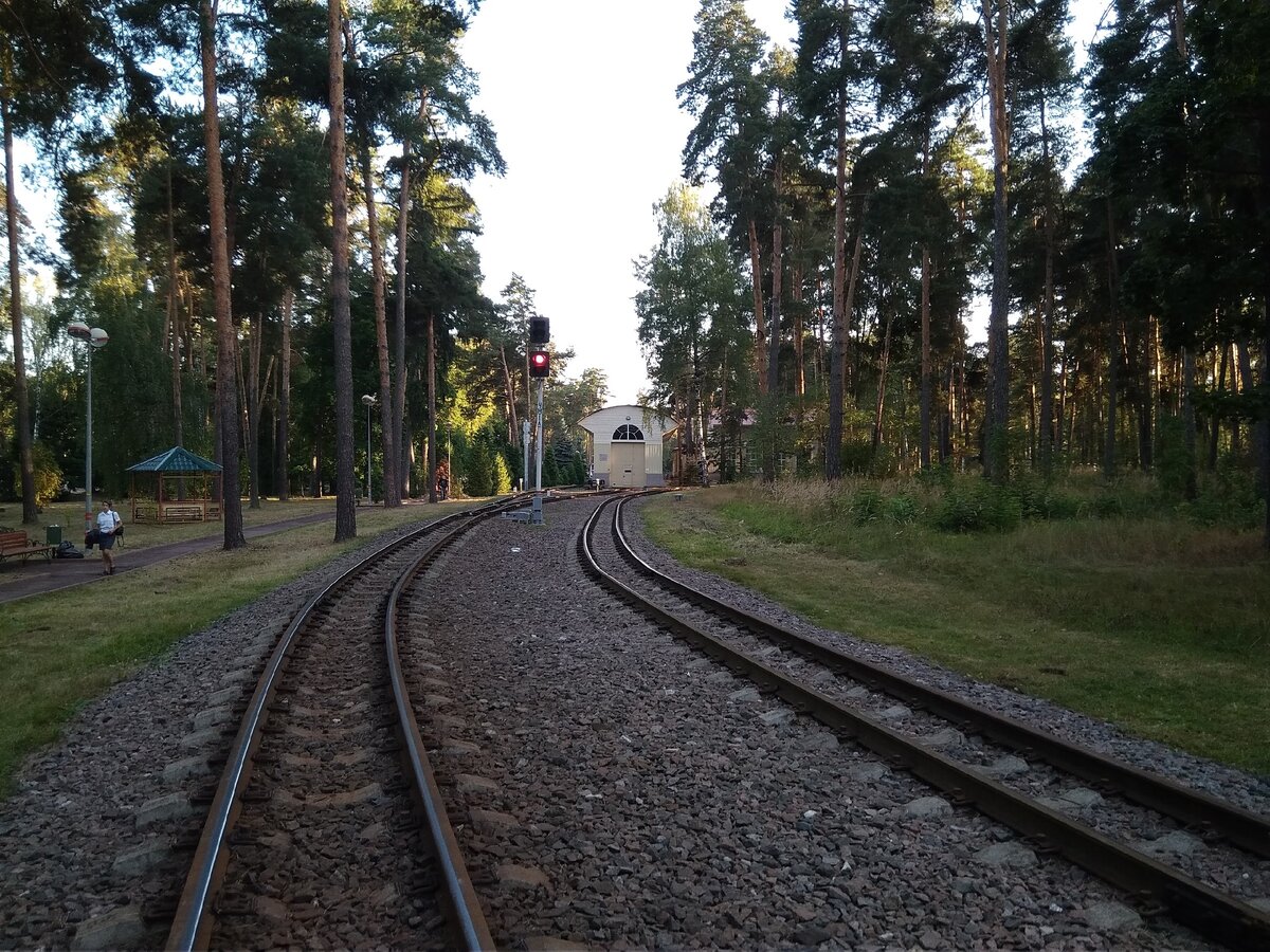 Детская железная дорога в кратово сайт