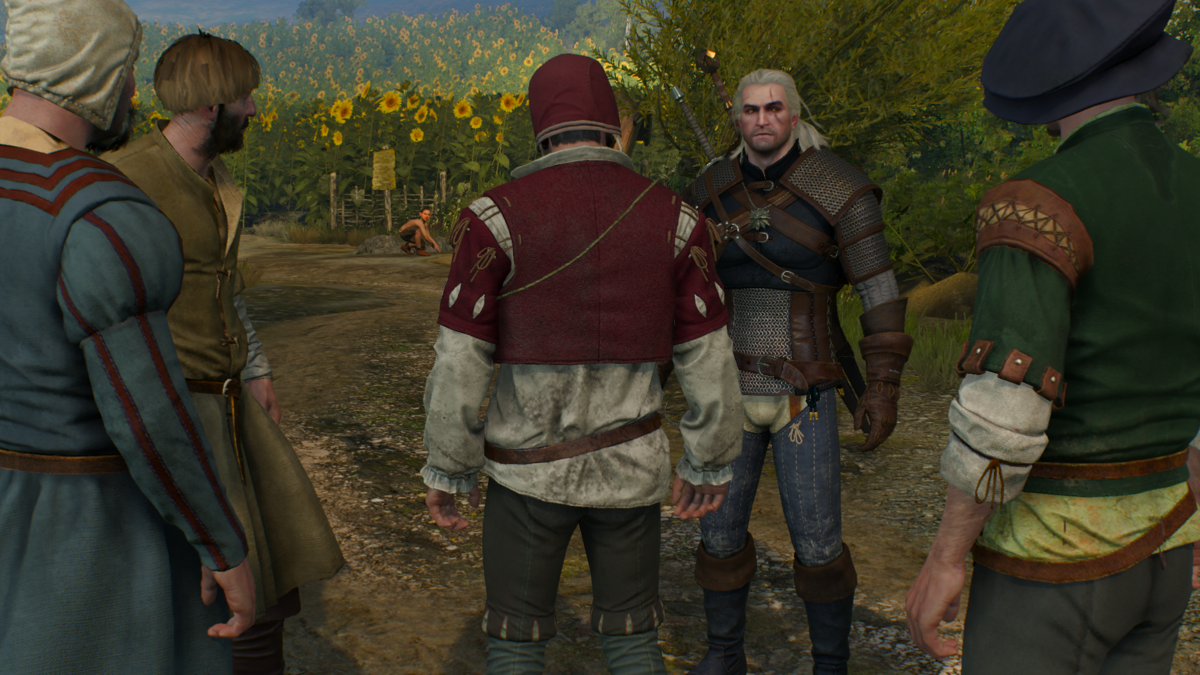 The witcher 3 все квесты фото 102