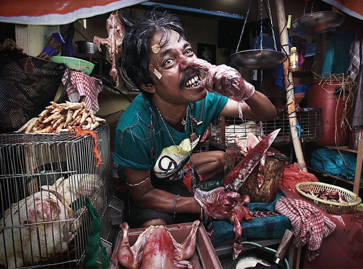 Источник : Яндекс